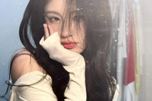 黄一鸣限高令：当流量网红遇上“想还钱却难赚钱”的法律困境